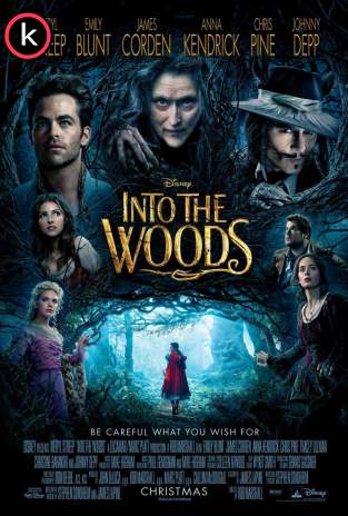 Into the Woods (HDrip)