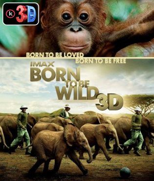 Portada-Born-to-be-Wild-3D