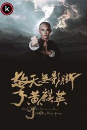 Master of Shadowless Kick Wong Kei-Ying (HDrip)