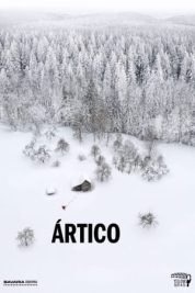Ártico 3x4