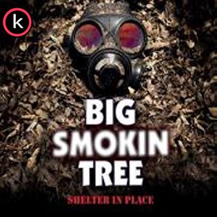 Big Smokin Tree – Shelter in Place