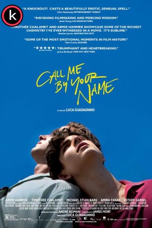 Call Me by Your Name (HDrip)