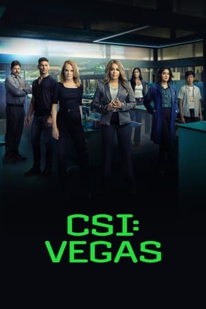 CSI: Vegas 2×19