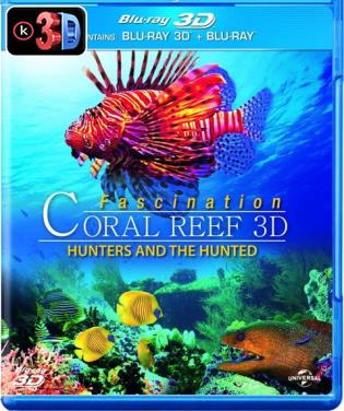 Fascination coral reef (3D)