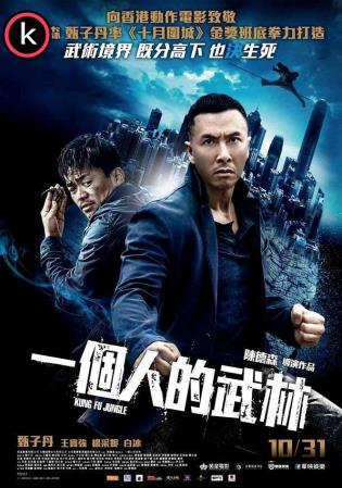 Kung Fu jungle (HDrip)