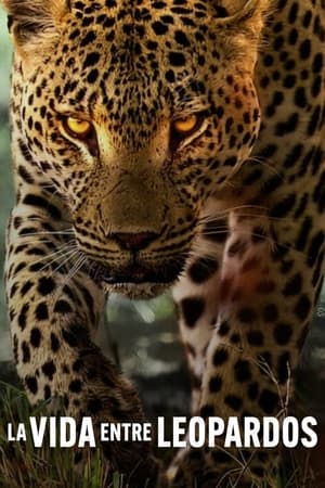 La vida entre leopardos por torrent