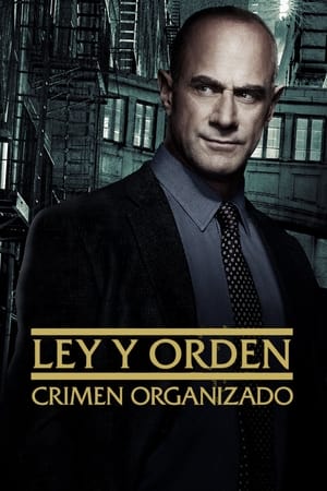 Ley y orden: Crimen organizado 3×17