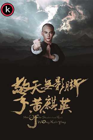 Master of Shadowless Kick Wong Kei-Ying (HDrip)