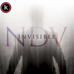 Nick D’Virgilio – Invisible (2020)