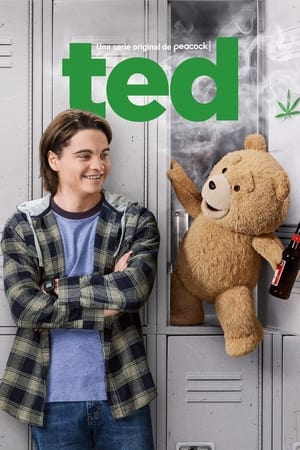 ted 1×3