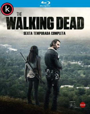 The walking dead T6 (HDTV)