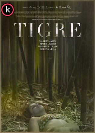 Tigre (DVDrip) Latino