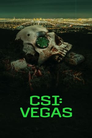 CSI: Vegas 3×1