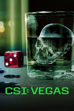 CSI: Vegas 3×10 por torrent