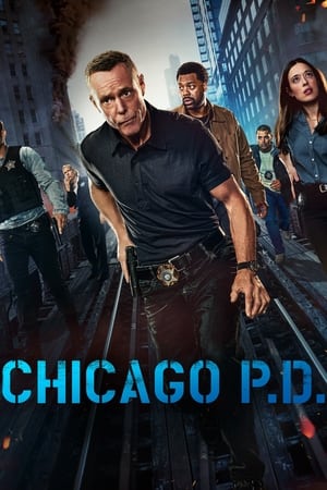 Chicago P.D. 12×1