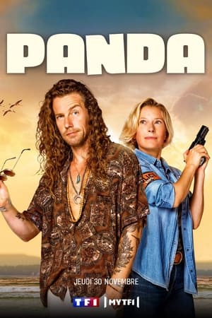 Panda 1×1 por torrent