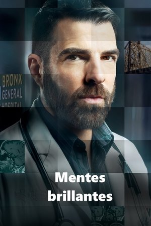 Mentes brillantes 2×1